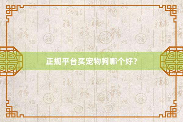 正规平台买宠物狗哪个好？