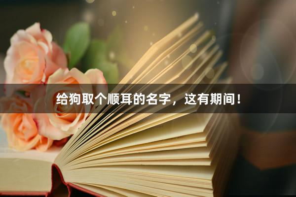 给狗取个顺耳的名字，这有期间！